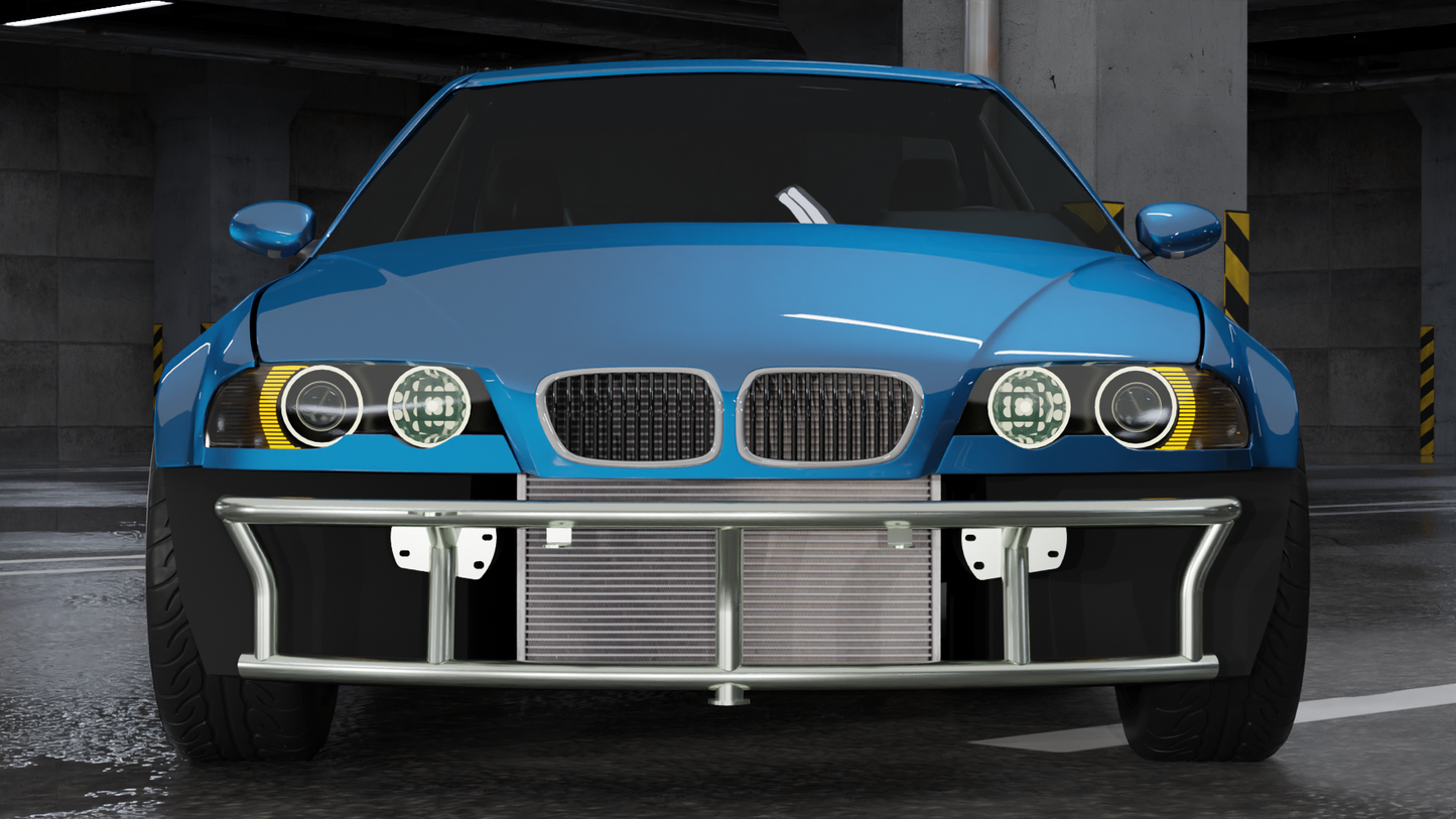 True Focus Fabrication - BMW E46 - Dual Row Front Bash Bar