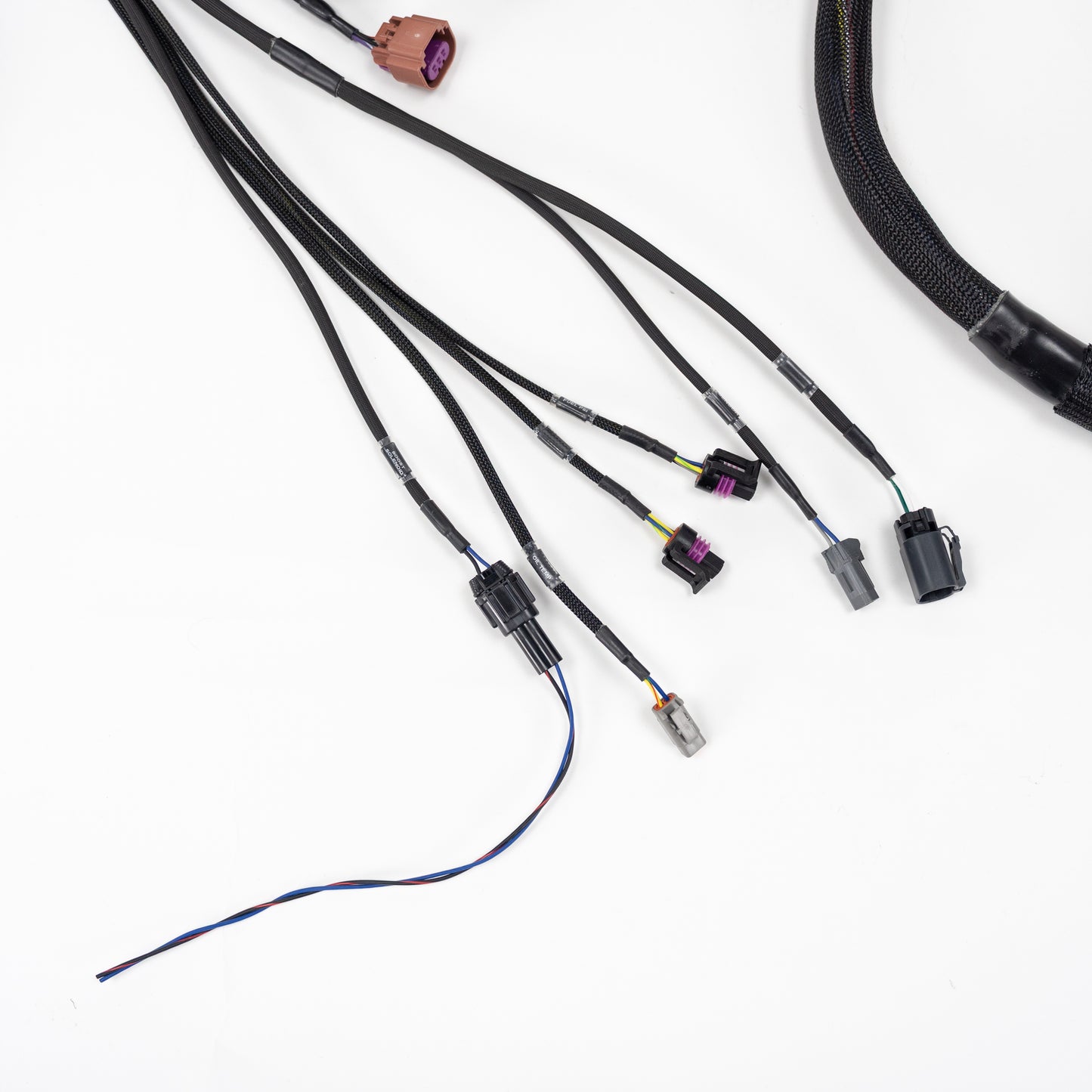 Wiring Specialities - RB25DET NEO Wiring Harness