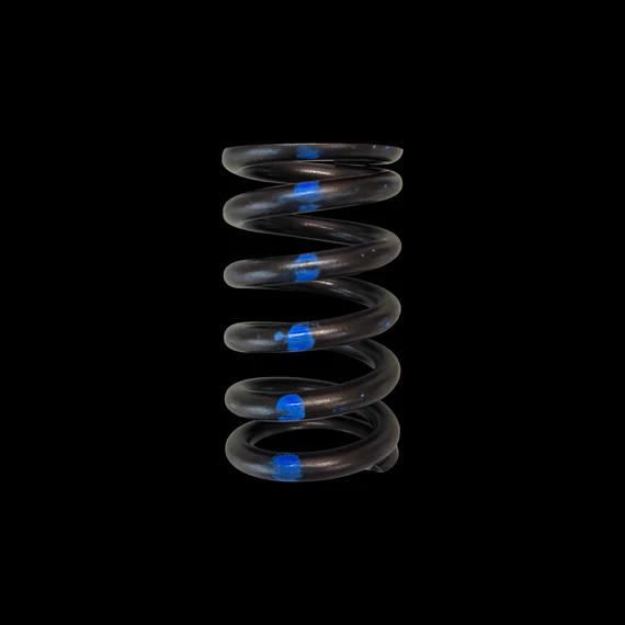 Brian Crower Nissan RB26 Single Valve Springs
