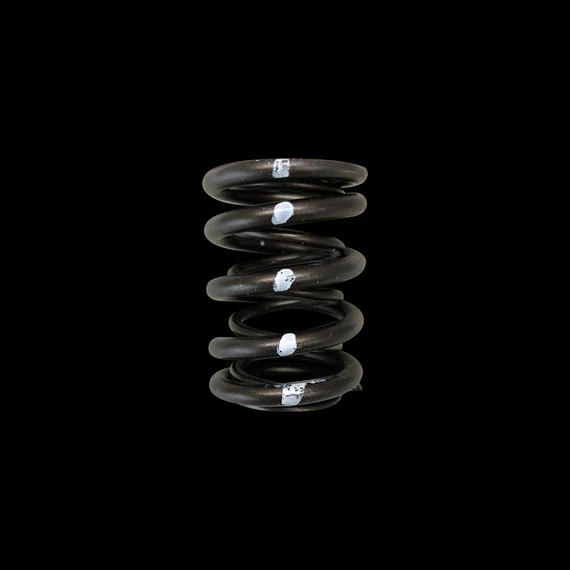Brian Crower Honda/Acura B18C/B16A/B17A & Nissan KA24DE Dual Valve Springs