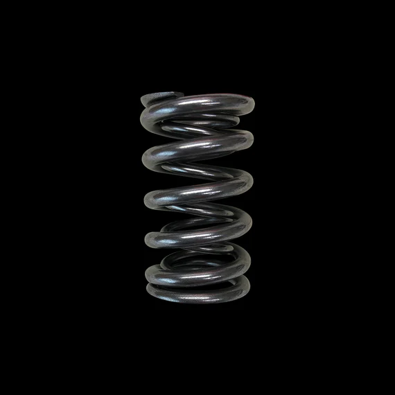 Brian Crower Honda/Acura K20A2/K20A/K24A2/F20C1/F22C1 (High Lift Cam) Dual Valve Springs - 16 Qty