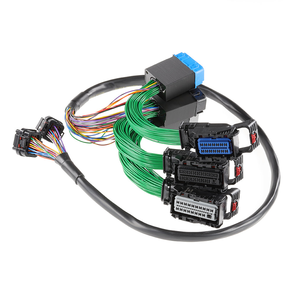 Boomslang - Plug-and-Play Harness Kit for Haltech Elite 2500 | 2003-2008 Mazda RX-8 Manual Transmission Type