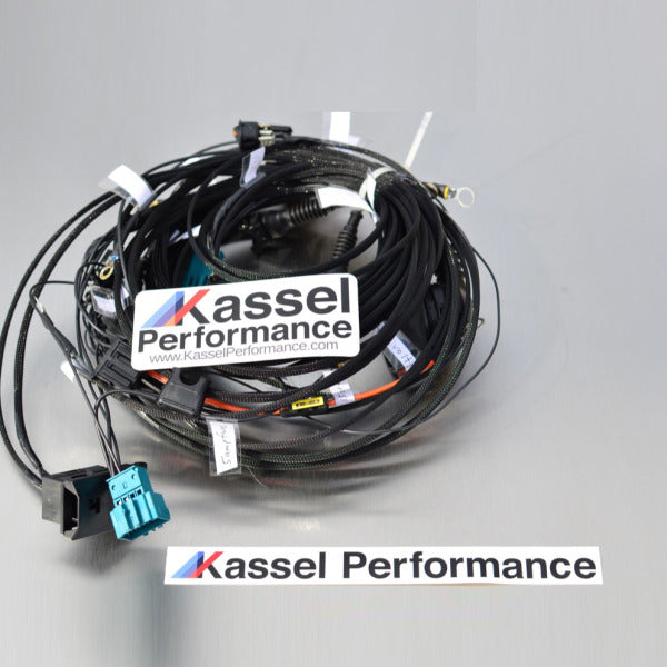 RENDIMIENTO KASSEL - Arnés de cableado de intercambio de motor Plug and Play BMW E36 E46 M3 S54 (KP1965210)