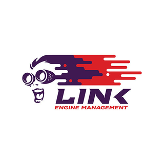 LINK ECU