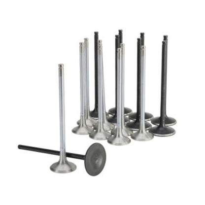 Skunk2 Honda K20C1 Alpha Series Intake & Exhaust Valve Set (Standard Compression)