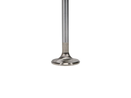 Manley Volkswagen Rabbit Exhaust Valve Kit - 34.00mm Head Dia. 3.976in O/A Length, 0.3130in Stem