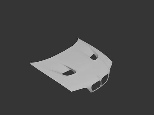 Big Duck Club - BMW E46 V2 - Coupe HOOD