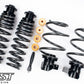 AST 16-21 BMW M2 (F87) / 14-18 M3 (F80) / M4 (F82) Adjustable Lowering Springs