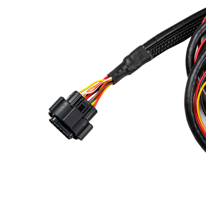 FuelTech USA -  NanoPRO Wideband O2 Sensor Controller to Bosch LSU 4.9 Sensor Wiring Harness