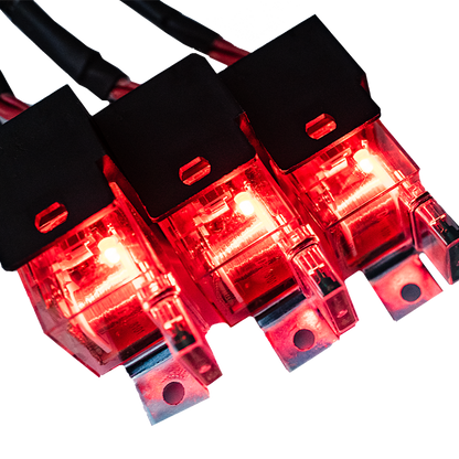 FuelTech LS550 V8 wiring harness has all needed connections for LS swap