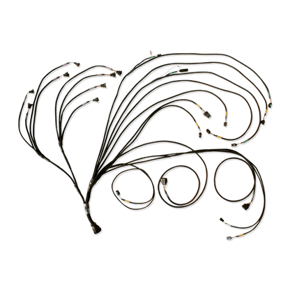 Complete Wiring Harness for FT600 ECU Engine Management System Designed for Racing