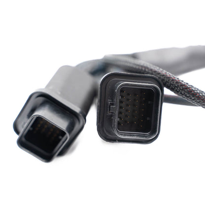 FuelTech USA -  FT550 to FT600/FT700 Adapter Harness