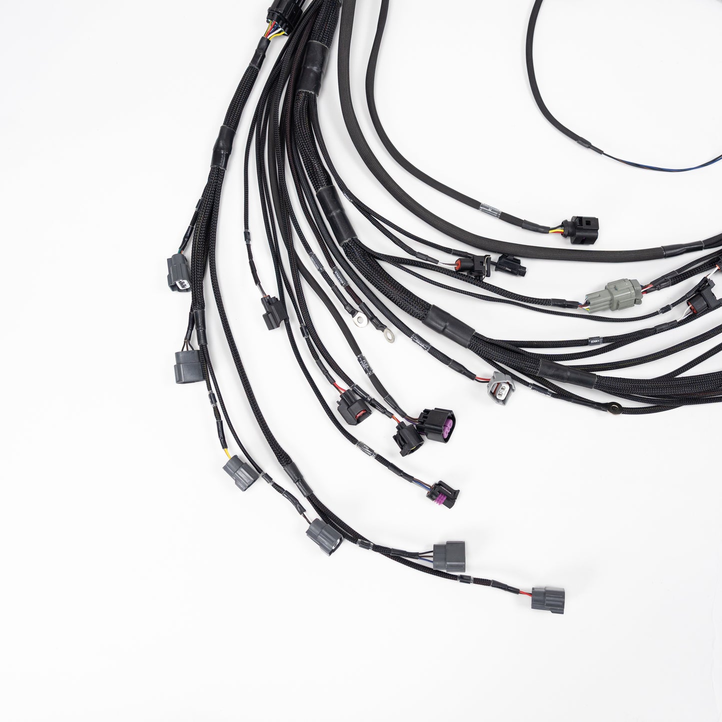 Wiring Specialities - JZ Series Wiring Harness (1JZ / 2JZ)