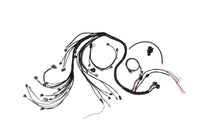 Wiring Specialities - RB25DET S1/S2 Wiring Harness