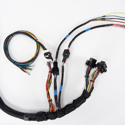 Wiring Specialities - RB25DET S1/S2 Wiring Harness