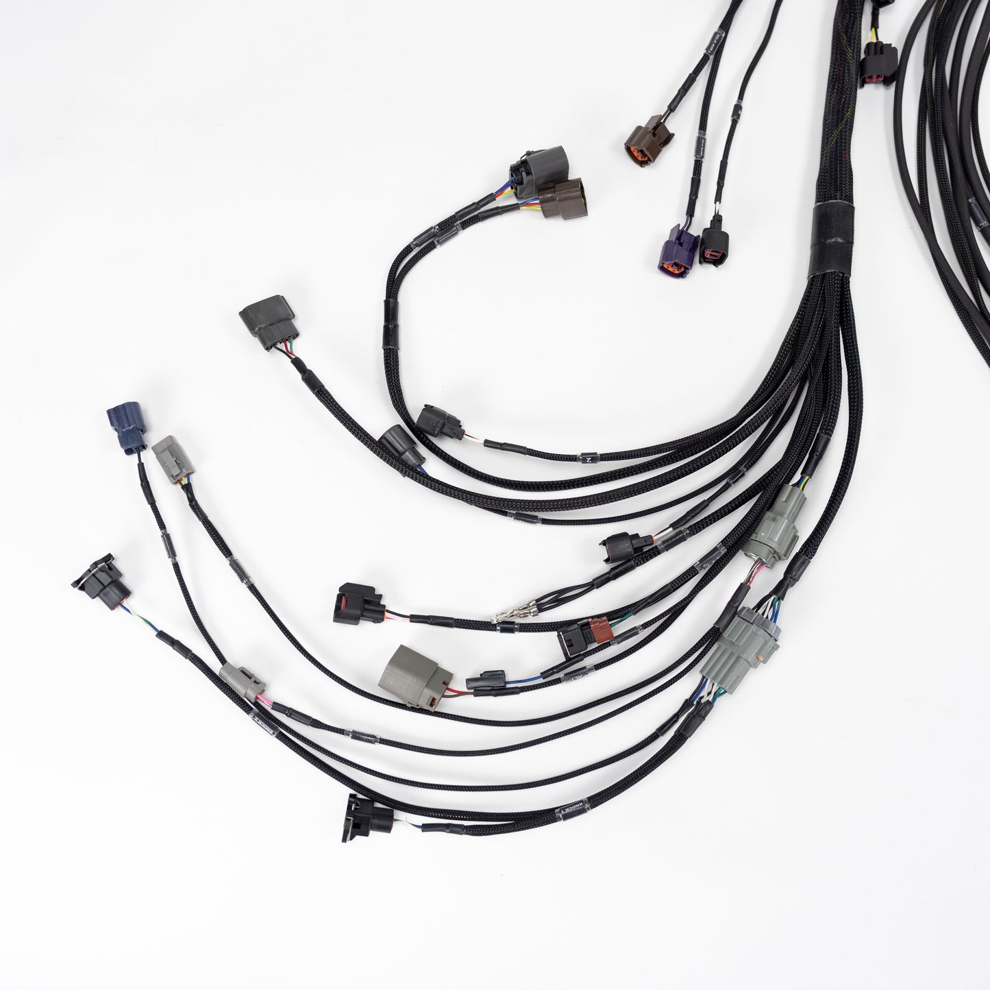Wiring Specialities - RB25DET NEO Wiring Harness