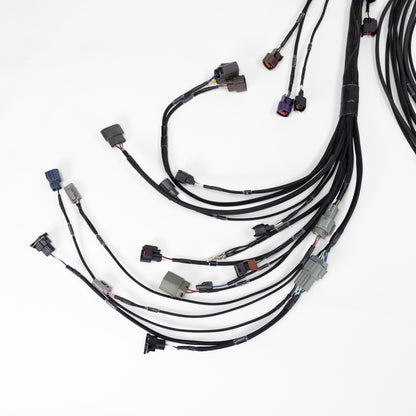 Wiring Specialities - RB25DET NEO Wiring Harness