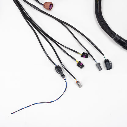 Wiring Specialities - RB25DET NEO Wiring Harness