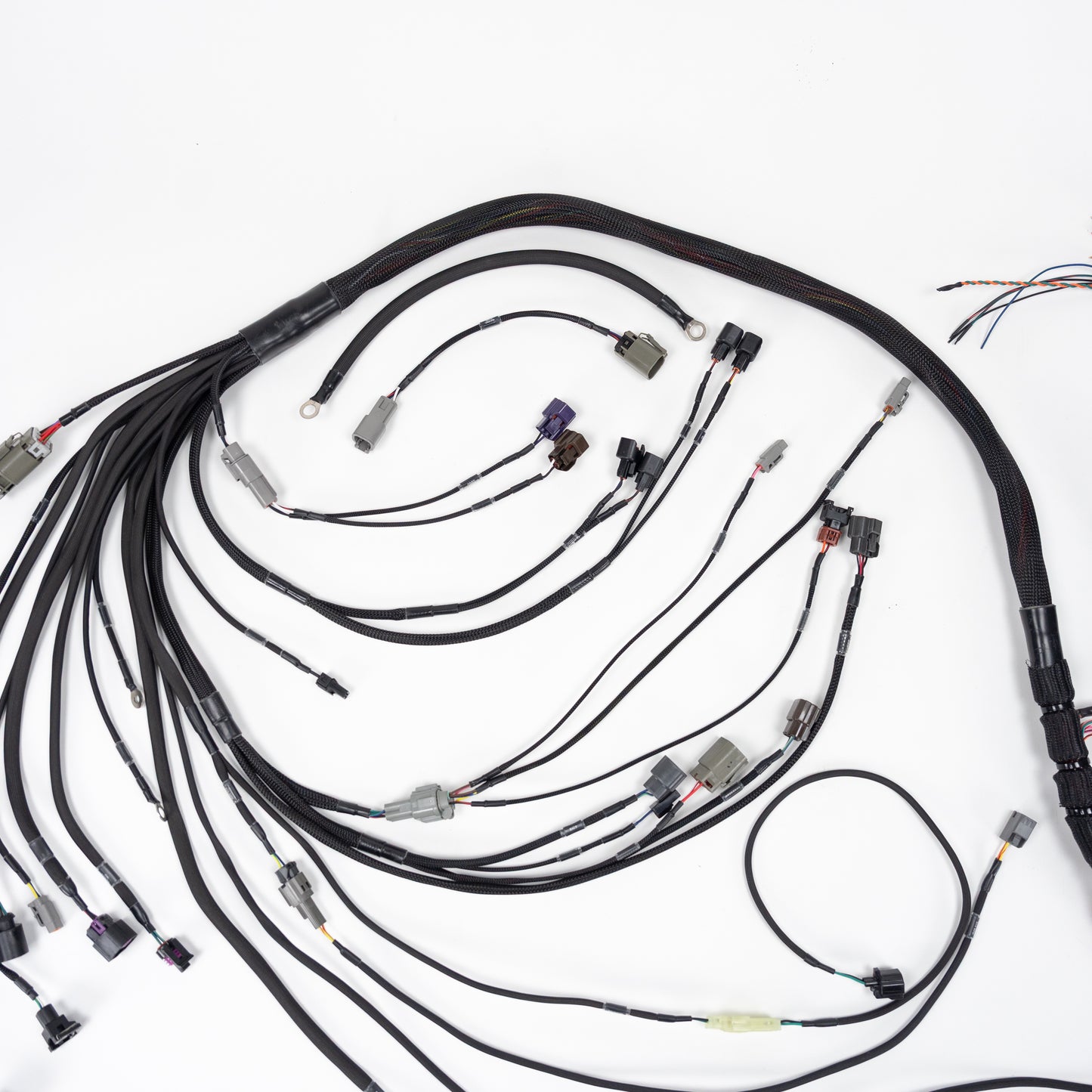 Wiring Specialities - SR20DET Wiring Harness (S13 / S14 / S15)