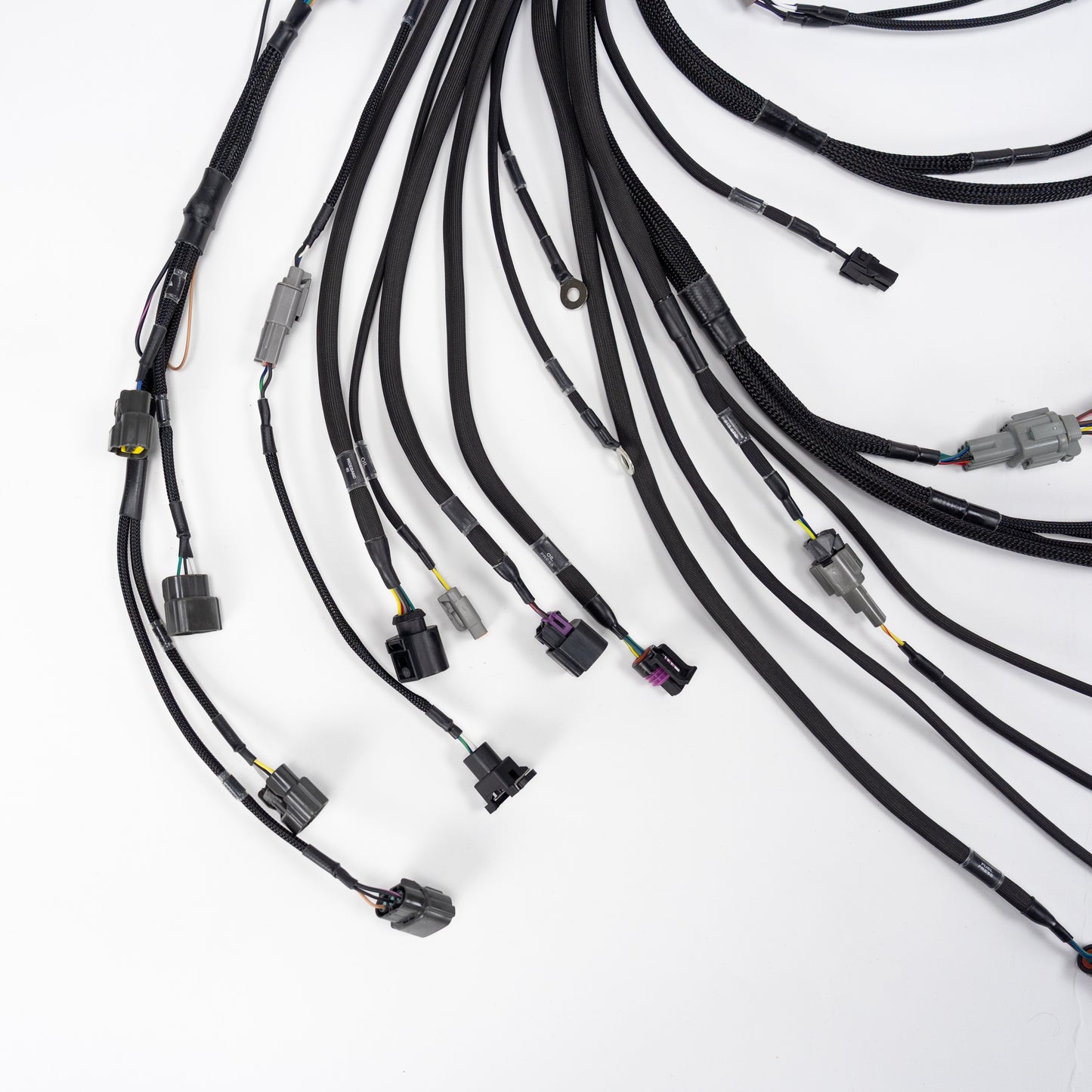 Wiring Specialities - SR20DET Wiring Harness (S13 / S14 / S15)
