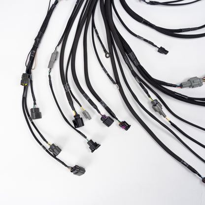 Wiring Specialities - SR20DET Wiring Harness (S13 / S14 / S15)