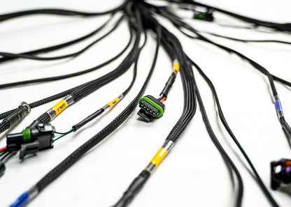 FuelTech USA -  FT450/550 4 Cylinder Universal A Harness