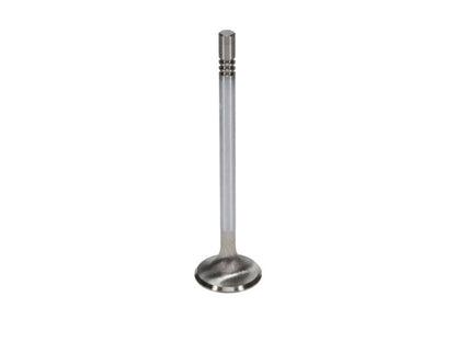 Manley Ford GT350 Voodoo 5.2L Race Master Series Intake Valve Set - 1.508in