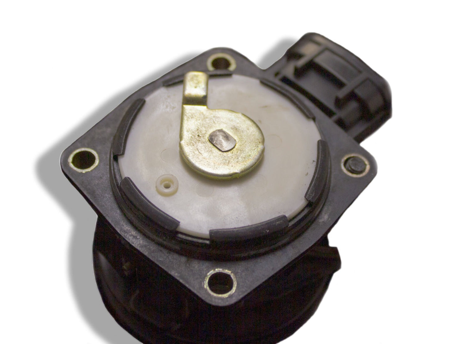 BEAMS Throttle Lock