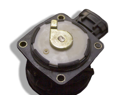 BEAMS Throttle Lock