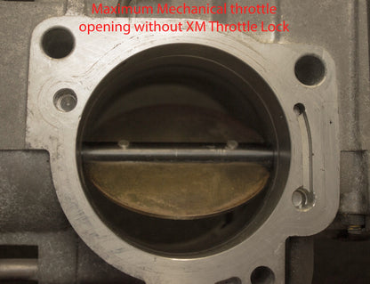 BEAMS Throttle Lock