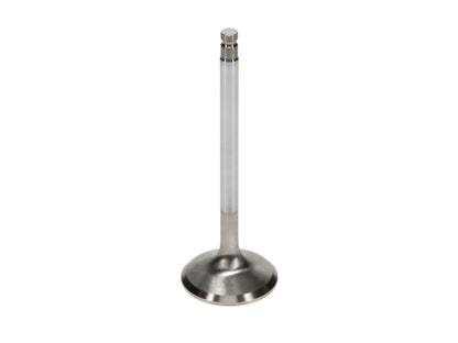 Manley Nissan 3.5L V6 (VQ35DE VQ35DET) DOHC 24 Exhaust 32.5mm Stainless Race Master Valves