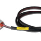 AEM CD Carbon AEMNet Power Adapter w/ Standard 12V Automotive Power Port Interface