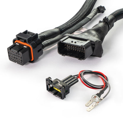 FuelTech USA -  FT450 Off-Road Single Cylinder Mini Bike Harness