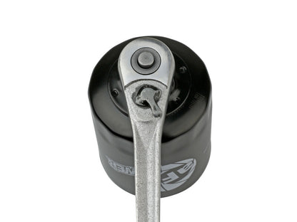 aFe PROGUARD Oil Filter- 4 Pack