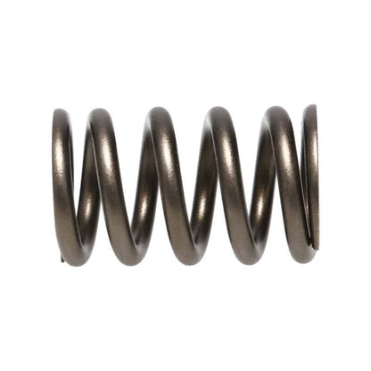 Manley Valve Spring, SPRING-NISSAN PATROL TB48