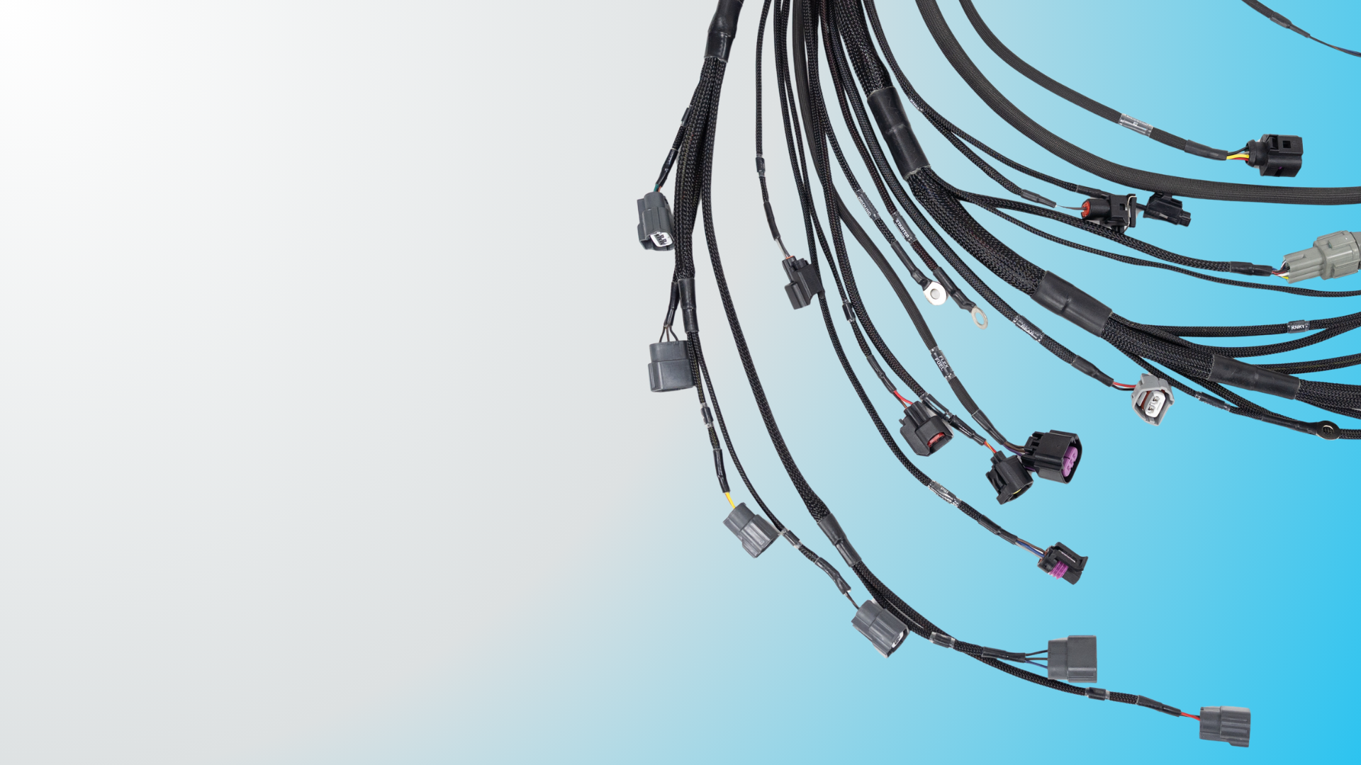 WIRING SPECIALITIES - TURNKEY HARNESSES