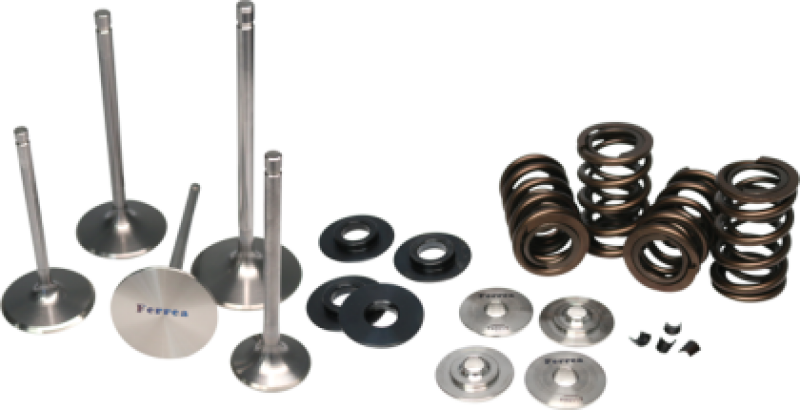 Ferrea 04-05 Honda TRX 450 Single Valve Spring Kit