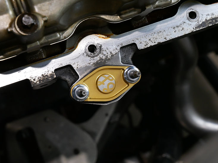 SLG - N52 SAP/EGR Delete Plate