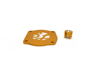 SLG - N52 Vacuum Pump Delete Kit