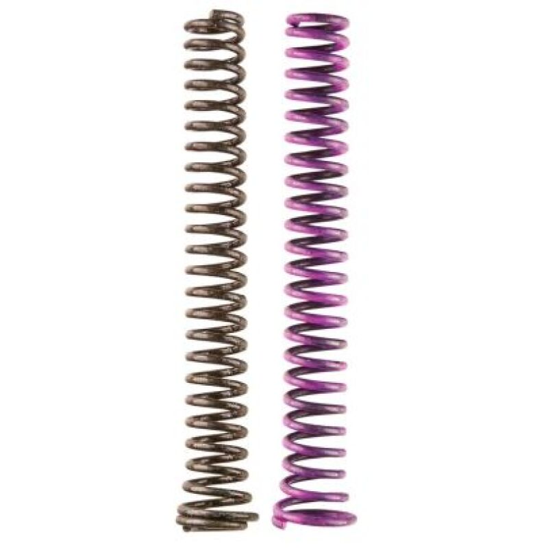 Moroso 2 Piece Oil Pump Spring Kit (For 22171/22192/Spur Gear SBC)