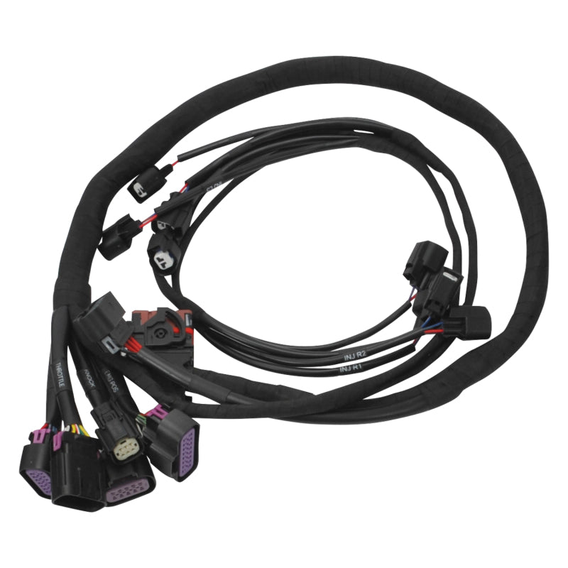Edelbrock 15-17 Ford Coyote Pro-Flo 4+ EFI Engine Management System