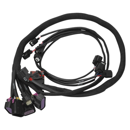 Edelbrock 15-17 Ford Coyote Pro-Flo 4+ EFI Engine Management System
