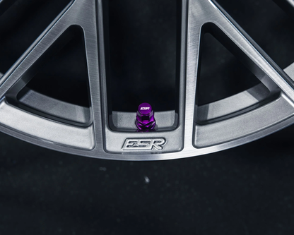 ESR - ESR PERFORMANCE VALVE STEMS (ESRPVS)