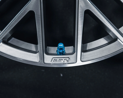 ESR - ESR PERFORMANCE VALVE STEMS (ESRPVS)