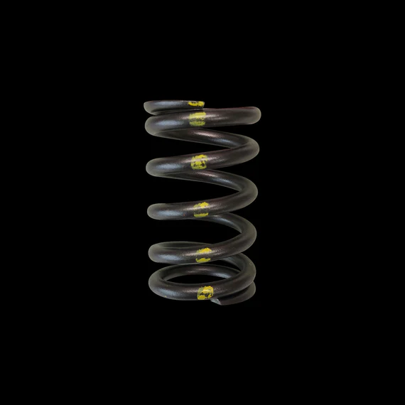 Brian Crower Toyota 2JZGTE/Lexus 2JZGE Single Valve Springs