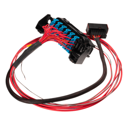 LINK ECU - LS Harness - Fuse and Relay Box