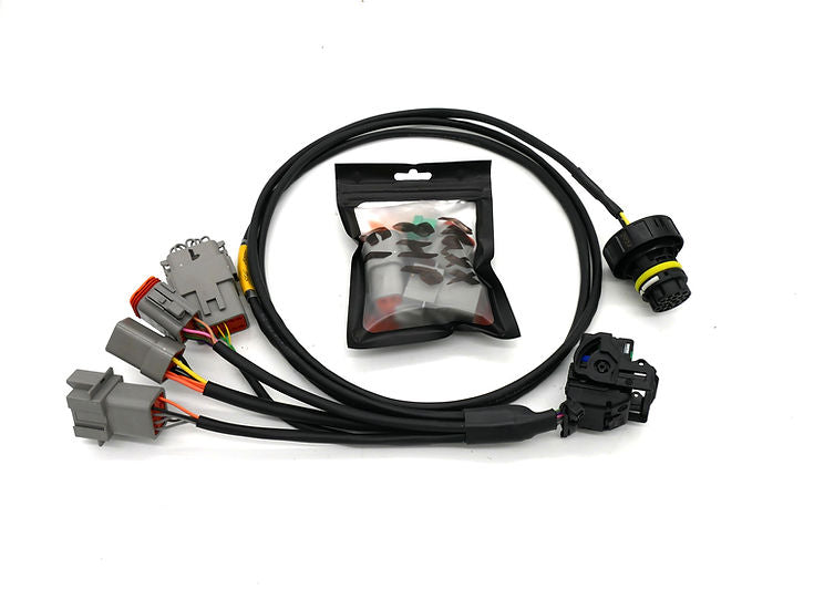 SLG - MINI 8HP Transmission Harness