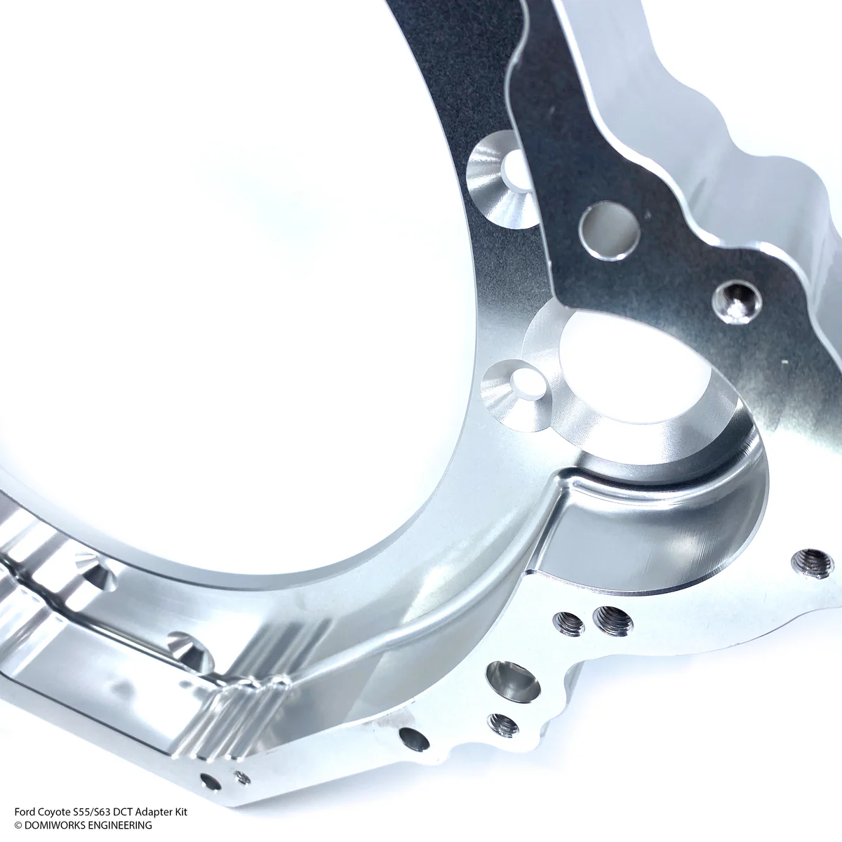 DomiWorks Engineering - Ford Coyote to S55/S63