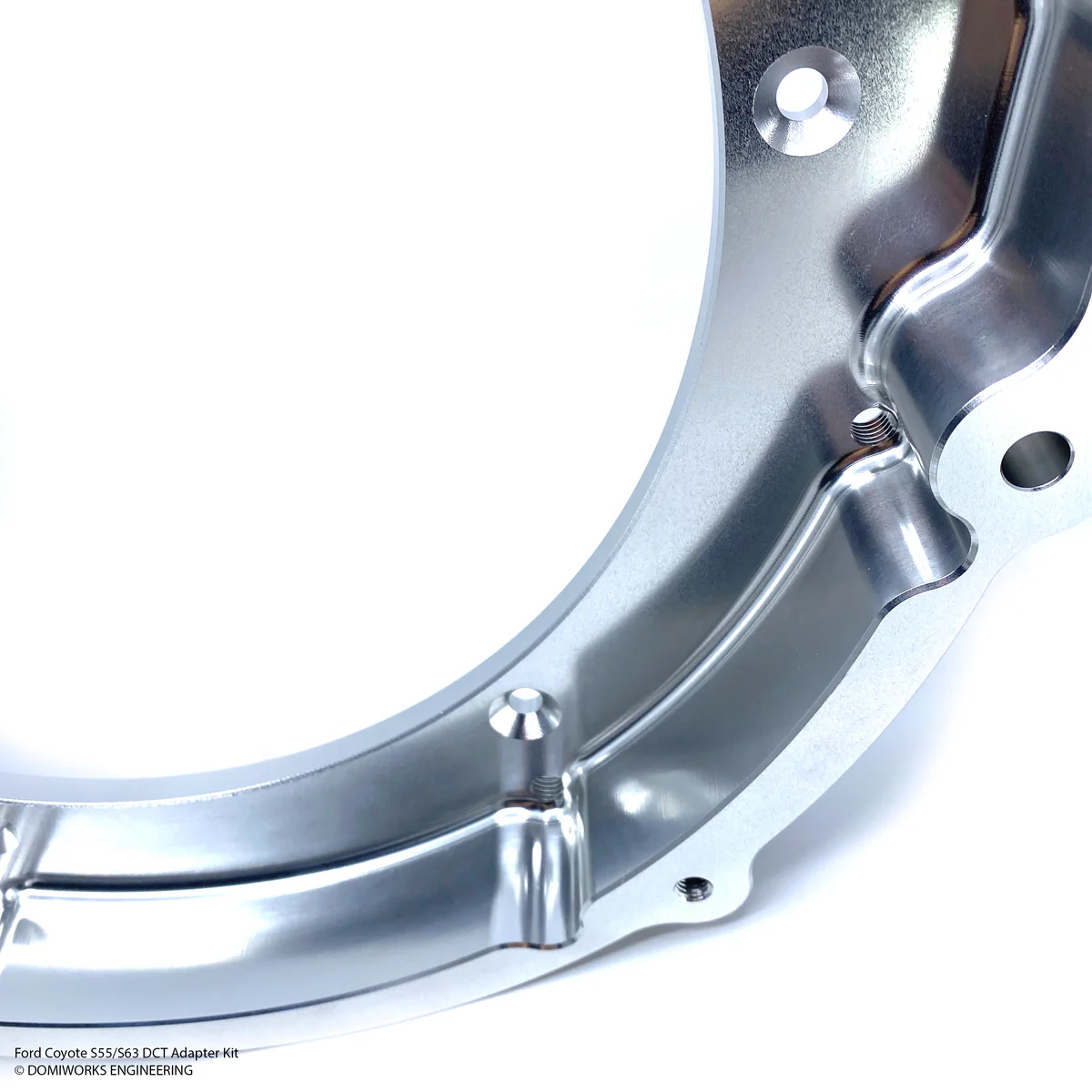 DomiWorks Engineering - Ford Coyote to S55/S63