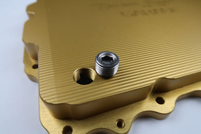SLG - Billet BMW DCT Pans